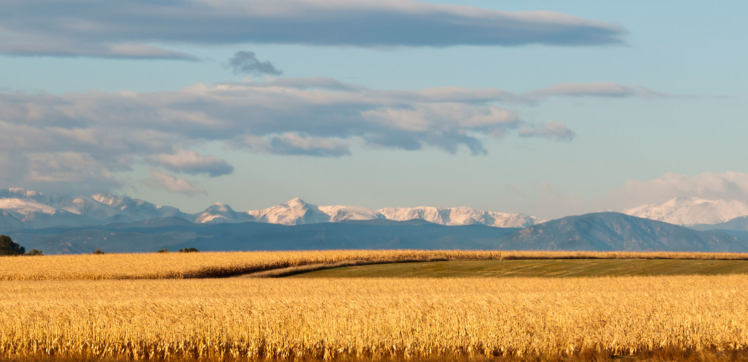 Muegge Farms