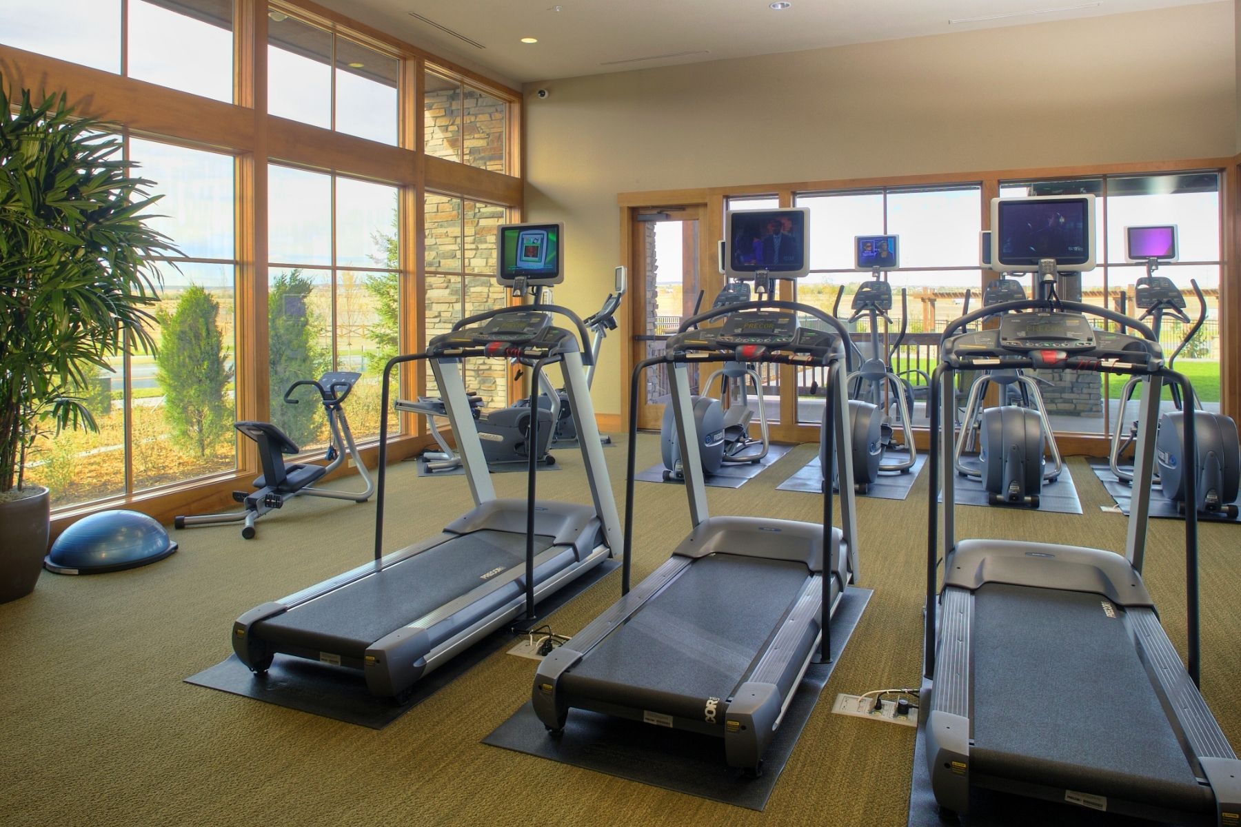 Fitness