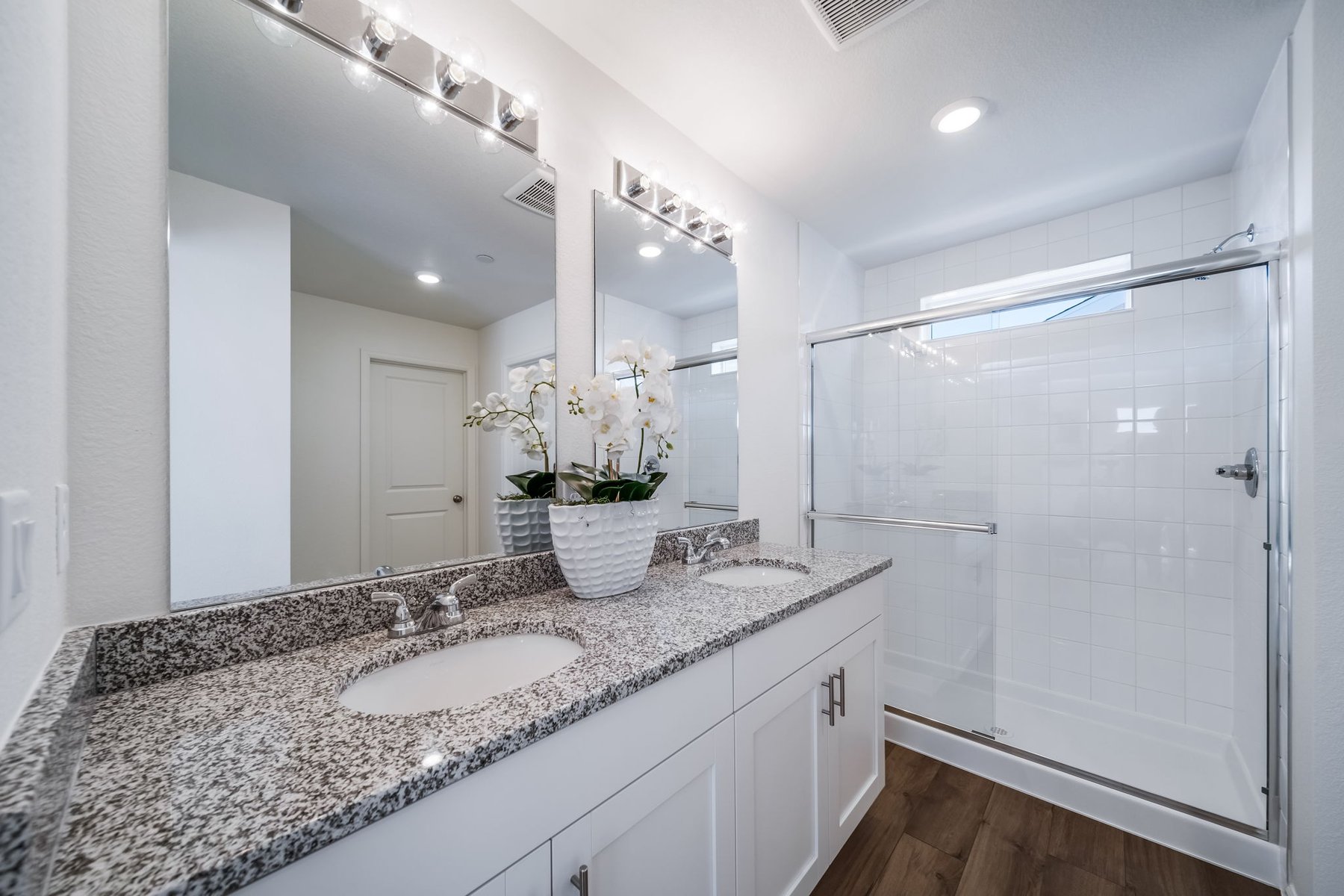 9914-Rand- American Dream- Muegge Farms