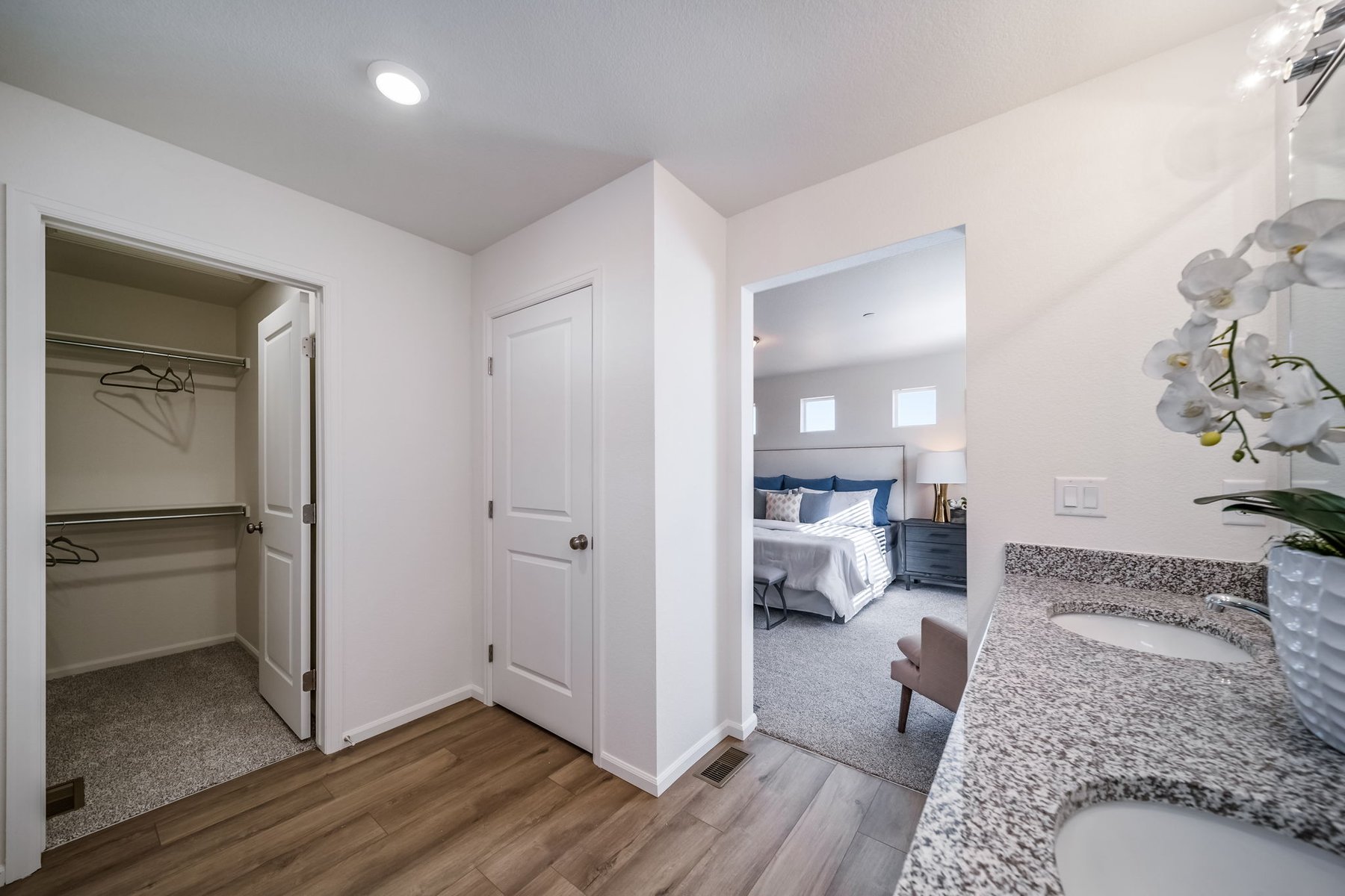 9914-Rand- American Dream- Muegge Farms