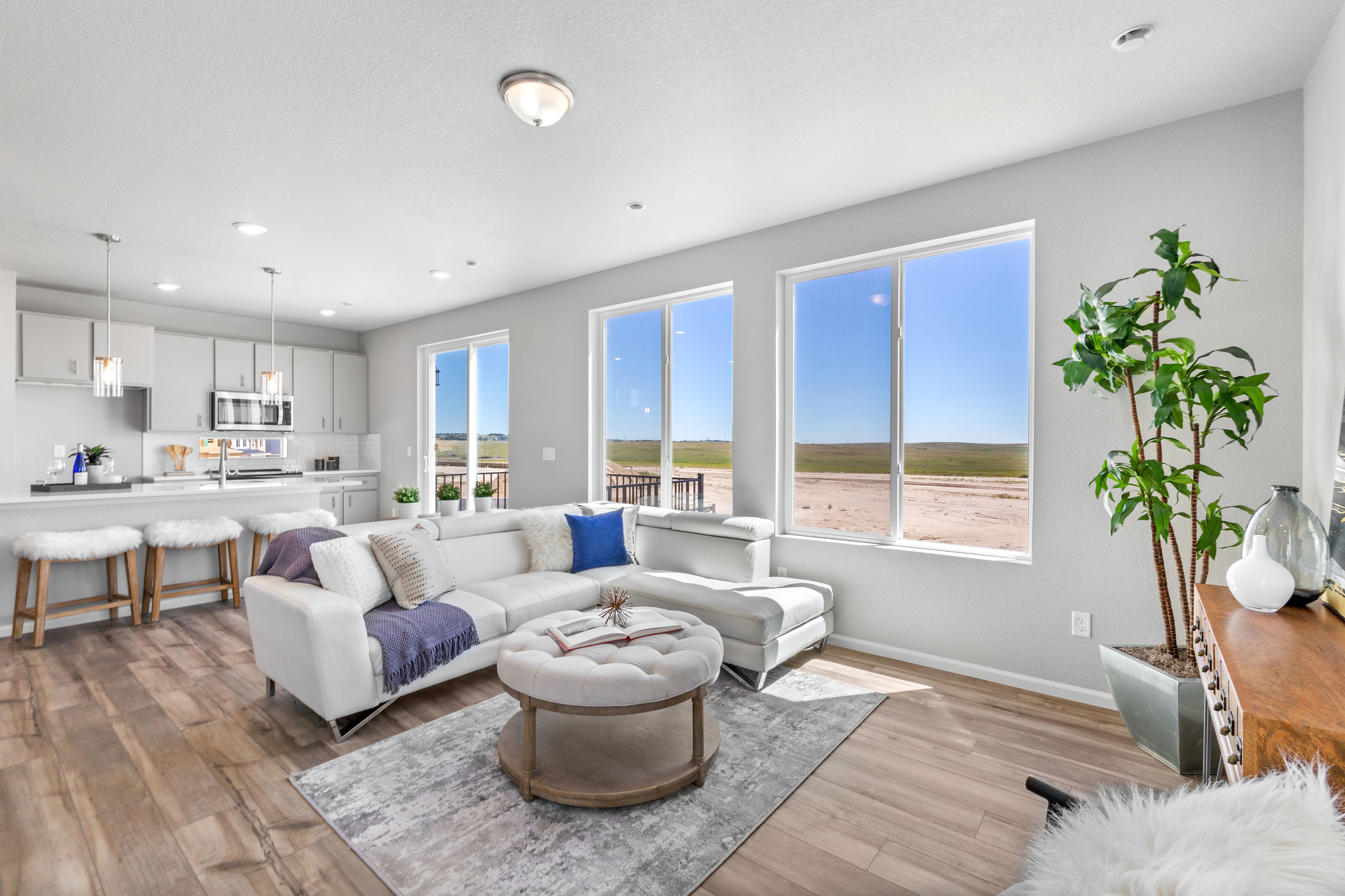 Great Room and Large Windows