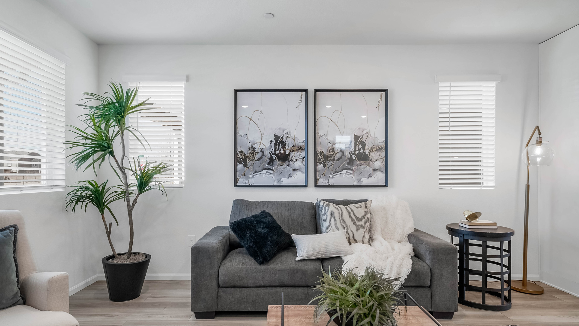 9993-morse-on2-reunion-10370-tucson