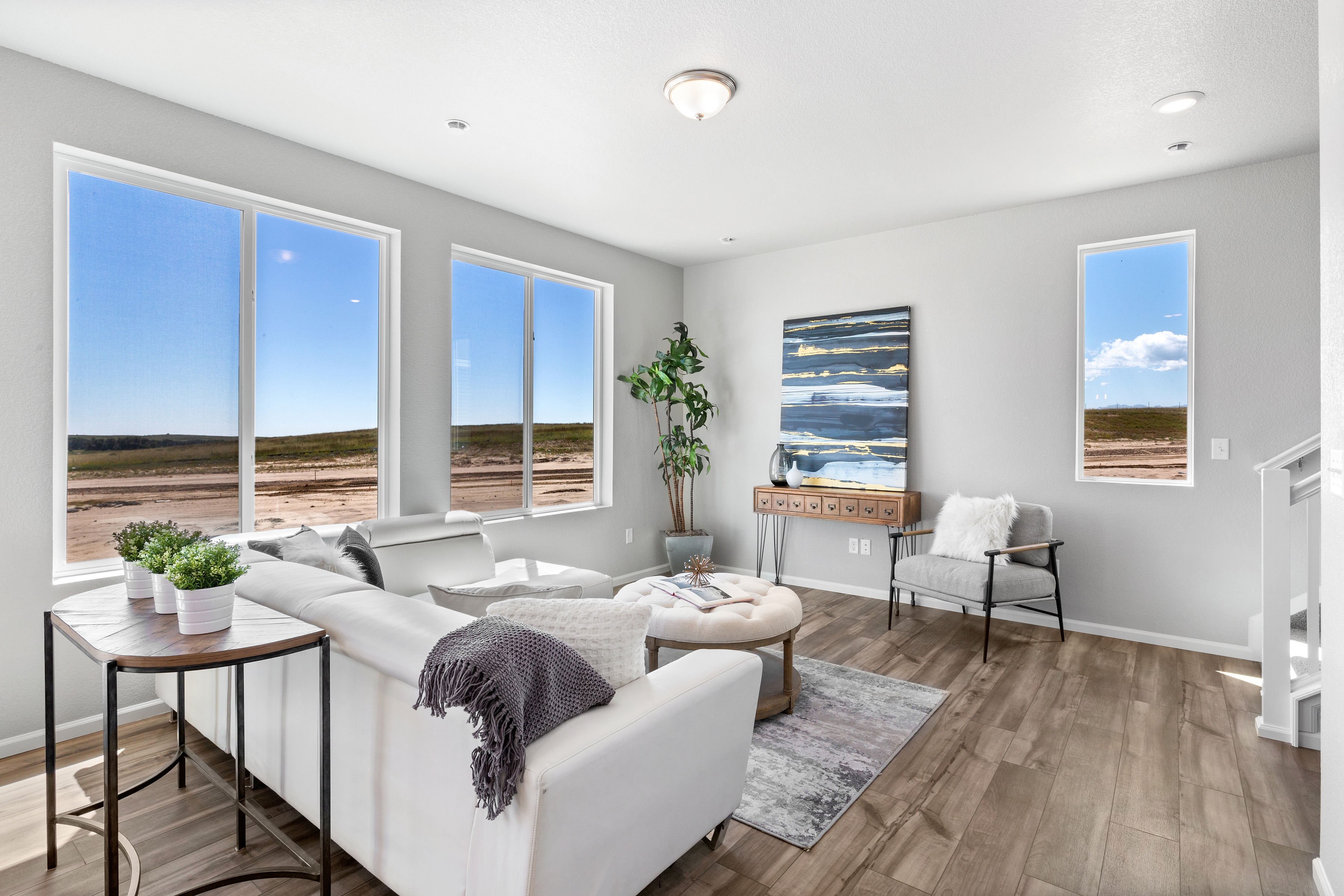 Great Room and Windows