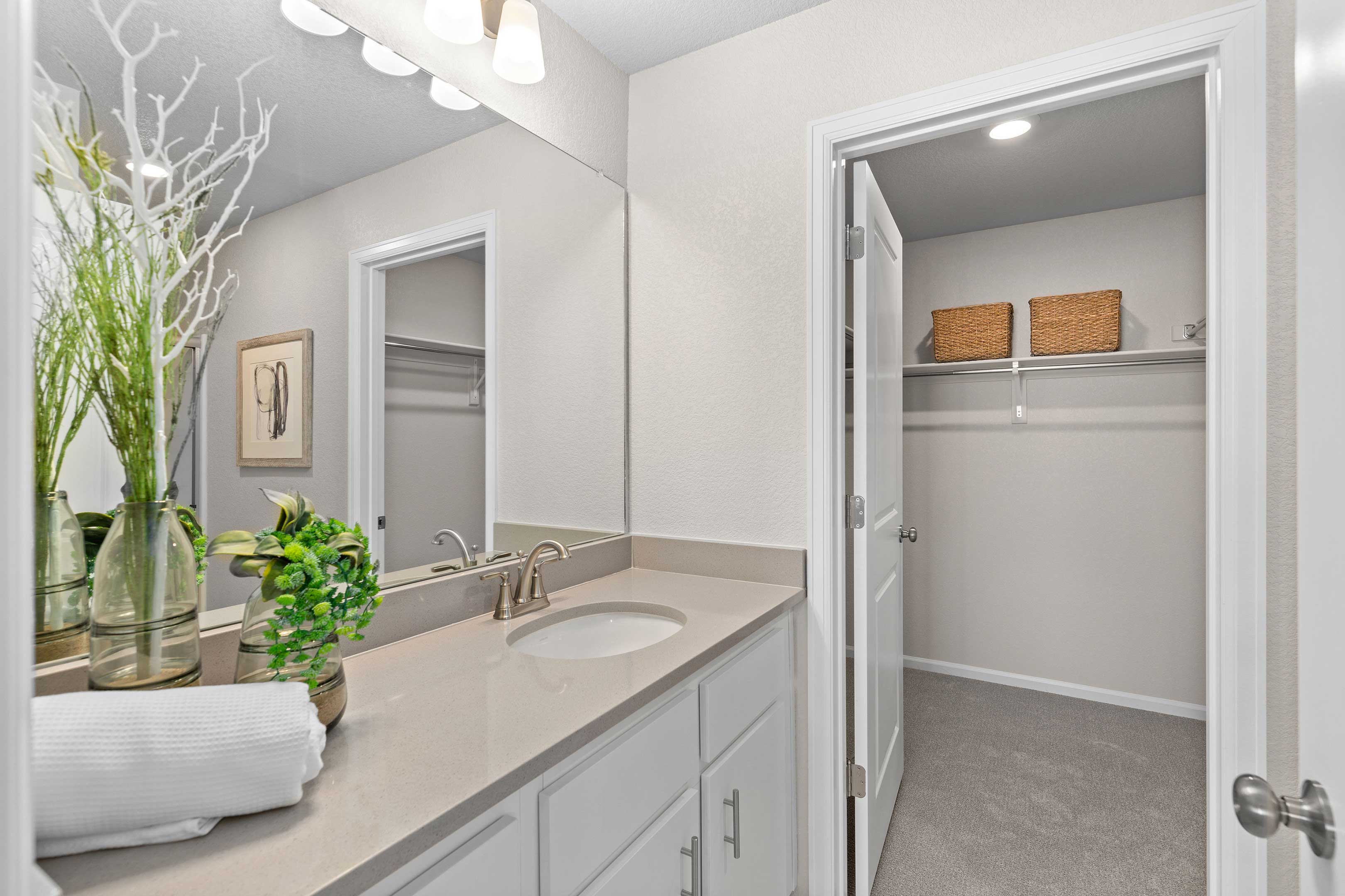 Ascent-Alpine-Primary Bathroom